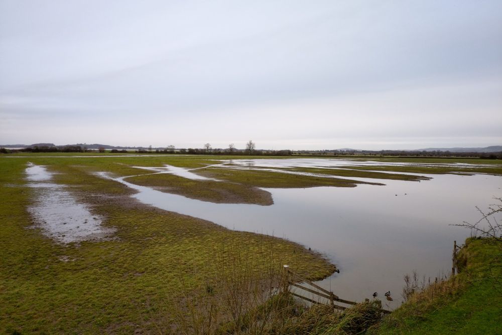 A big flooded field on a grey day.
