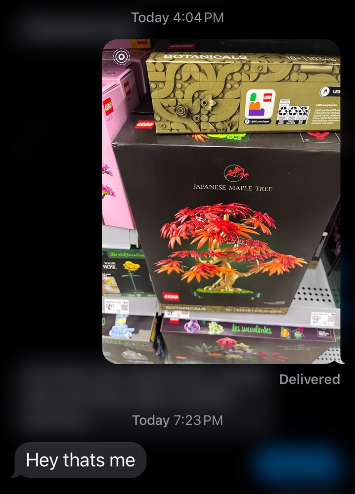 Text messages between me and my boyfriend

[A picture of a Japanese Maple tree Lego set sitting on the shelf]

Hey that’s me