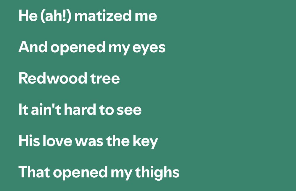 Lyrics from wood:

He ahmatized me
And opened my eyes
Redwood tree
It ain't hard to see
His love was the key
That opened my thighs