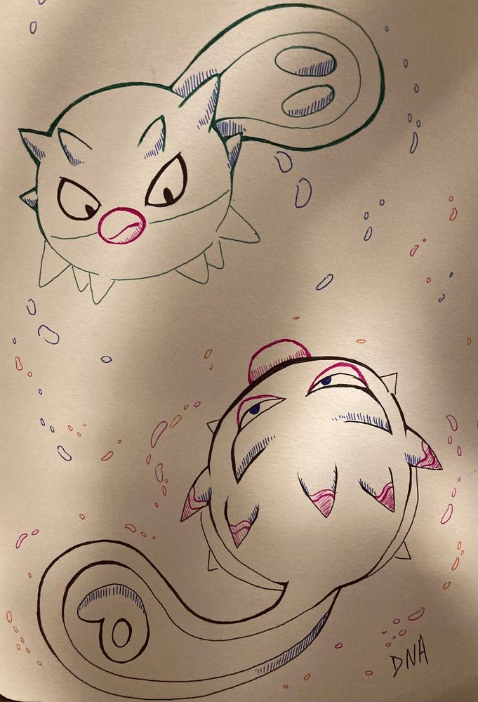 A Johto and Hisuian Qwilfish cautiously circle each other in the water.