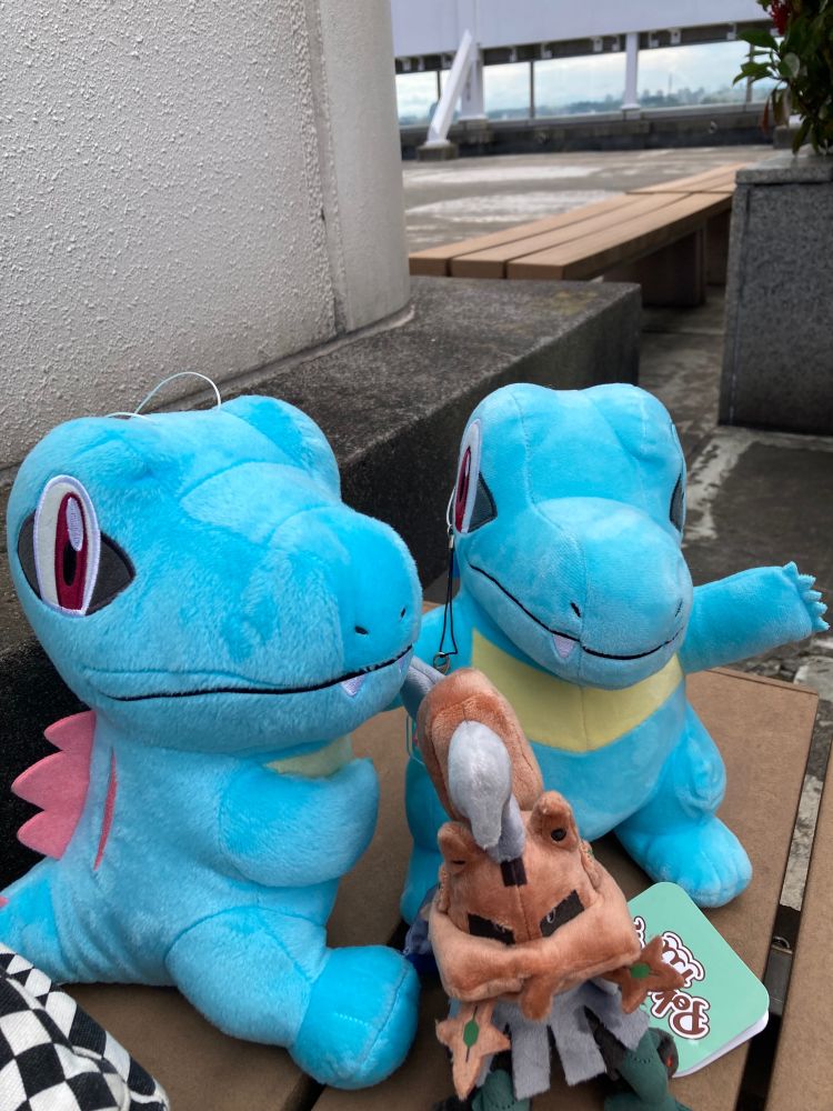 Totes made some new friends! Another Totodile and a Type: Null.