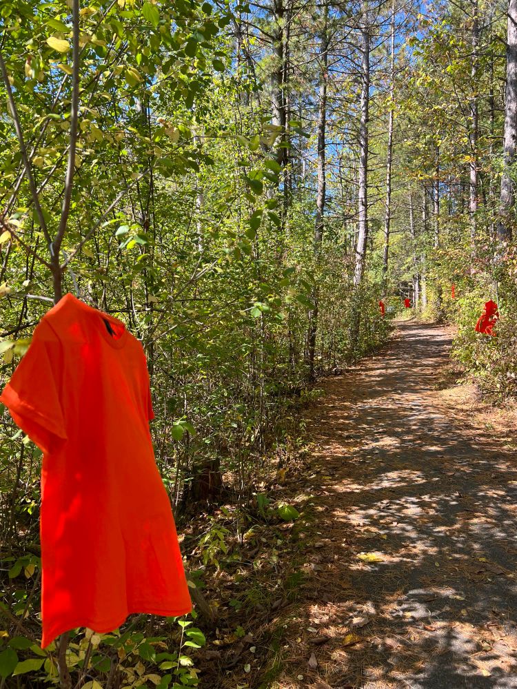 A bright orange T-shirt on a hanger floats in the breeze at the side of a forest trail more orange shirts can be seen in the distance.