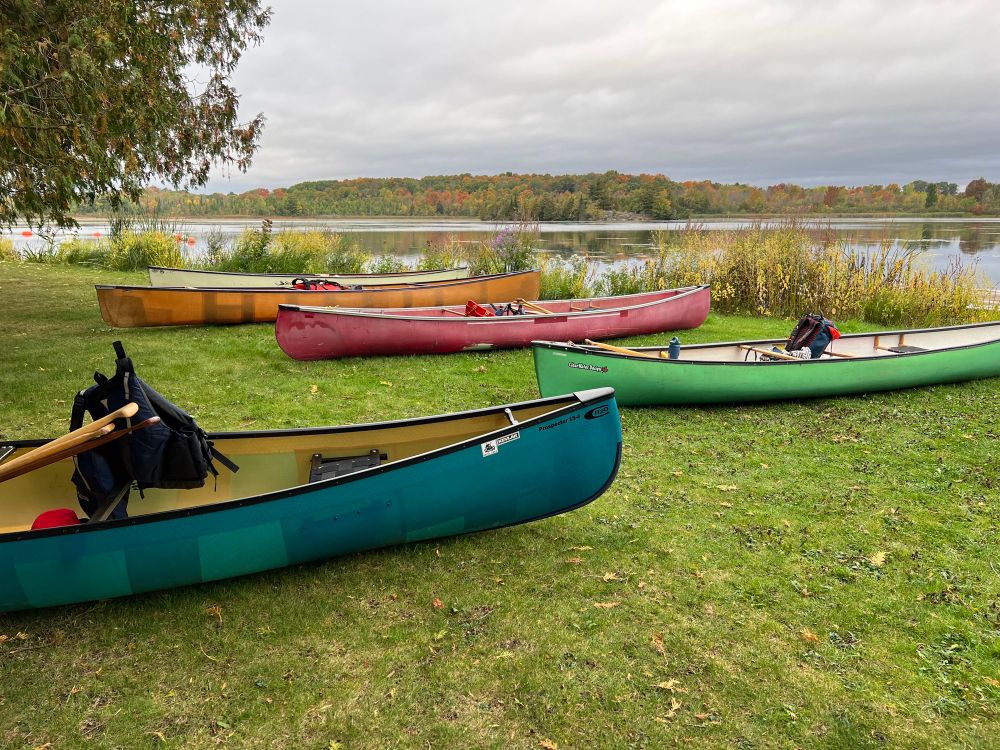 Four canoes - teal, green, red and gold - sit by the shore waiting to be launched.