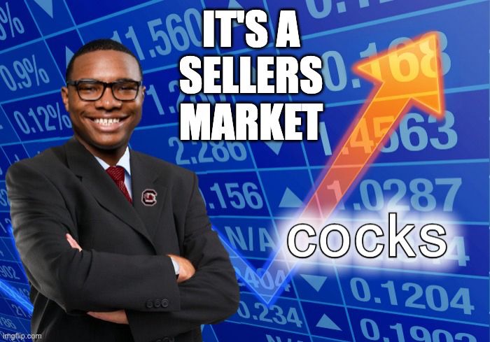South Carolina Gamecocks QB LaNorris Sellers “it’s a Sellers Market” meme 