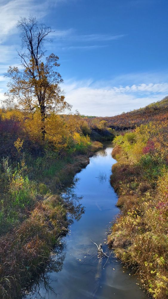 Picture of a river surrounded by bushes and trees with beautiful orange and red leaves and a blue sky