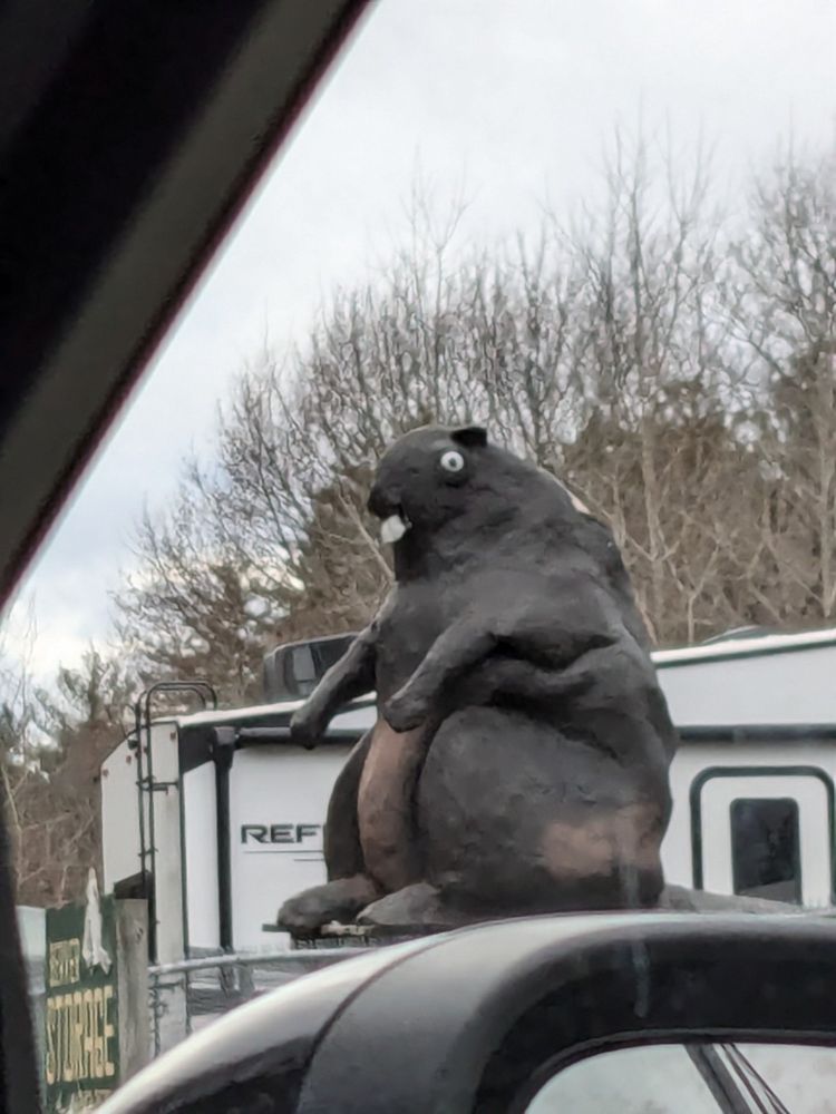 Photo taken from a car window of a large beaver statue