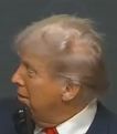 Pedo Posse's Bald Ass Head
