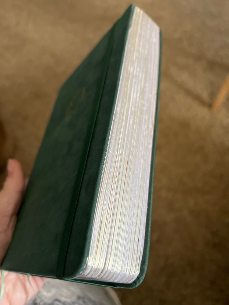 A velvet flocked forest green notebook, the notebook is bulging slightly as the pages are filled with more than written notes. It holds stories and mysteries and memories. 