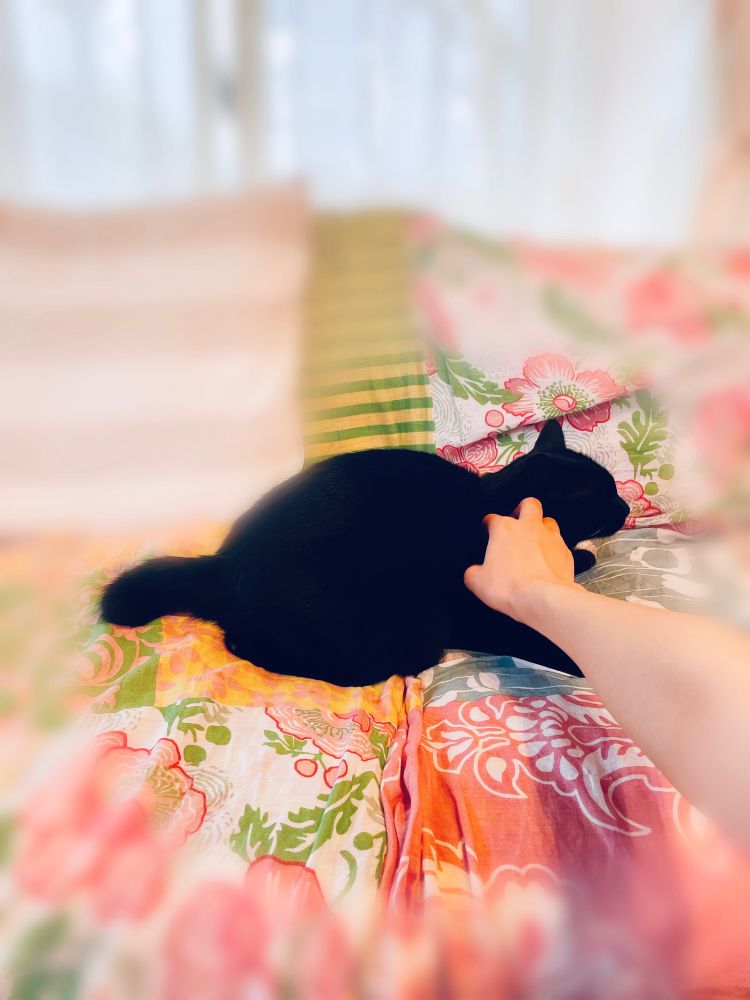 表情が伝わらない
黒猫あるある。
だが、それでいい。