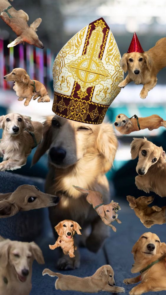 pope Leo Leclerc and his fellow 13 Leos