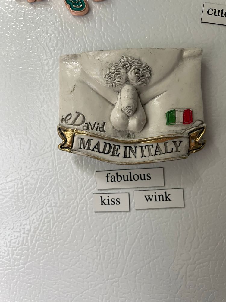 A fridge magnet of the statue of David, but only the uncircumcised dick and pubes. It says “il David” on the left corner, “MADE IN ITALY” across the bottom, and an Italian flag 🇮🇹 on the right corner.

Underneath, I moved some other magnets to say:

fabulous
kiss wink