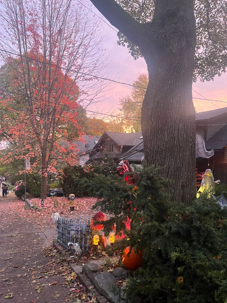 Photo of trees with autumnal leaves and some glowing Halloween decorations with a pinky-purple, cloudy sky presiding. 