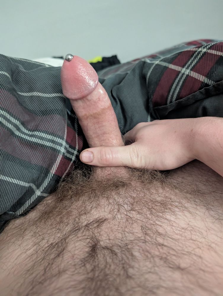 My dick against a plaid dark gray, red, and black blanket backdrop. It's held away from the camera, to see the top of the shaft.