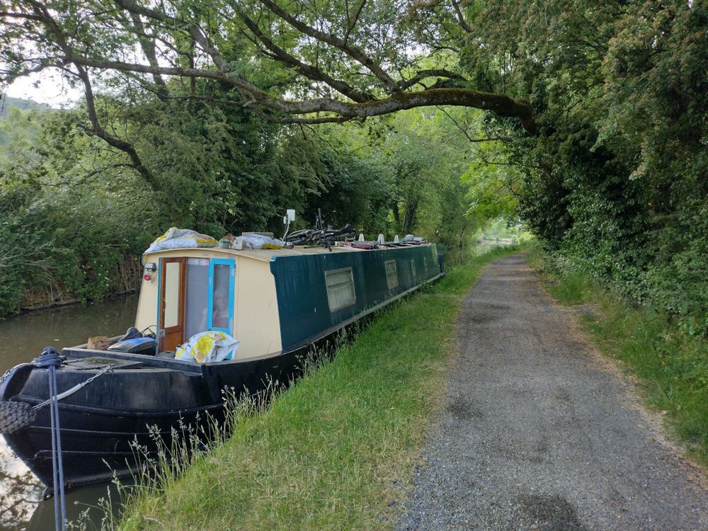 A cream and blue narrow boat/ship, docked against a grass and asphalt towpath. In the background are lots of green bushes and trees, like a warm summer's day.