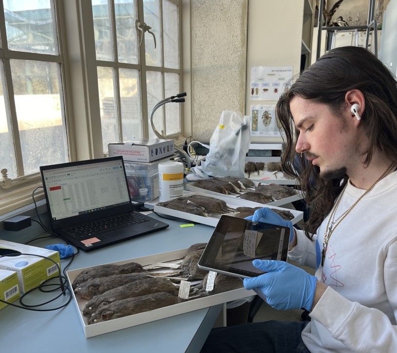 A work study student helps prepare specimens for digitization. There are many folks at the Museum that make Ranges possible, and there are even more volunteers helping out online at Zooniverse.