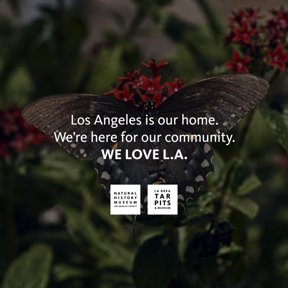 Dulled image of a butterfly with text "Los Angeles is our home. We're here for our community. WE LOVE L.A." with the Natural History Museum and La Brea Tar Pits logos.