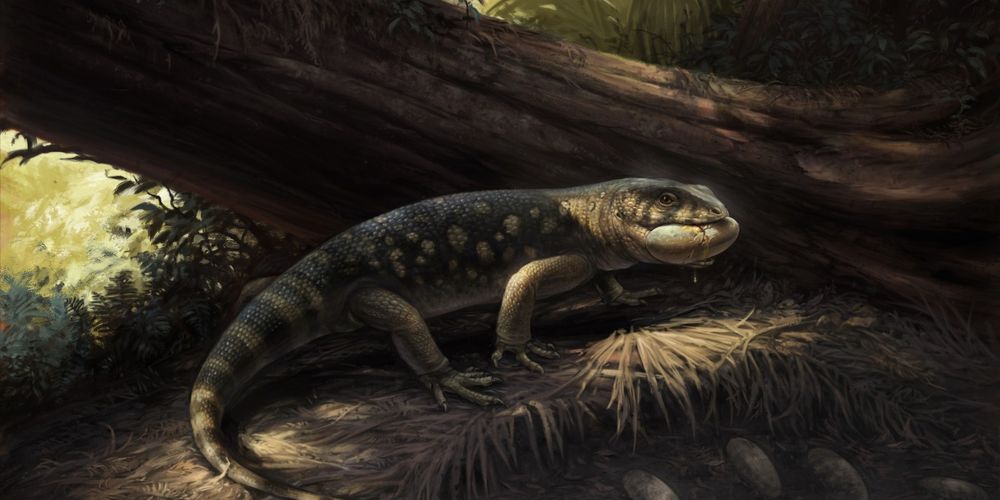 Artistic reconstruction of Bolg amondol, depicted raiding an oviraptorosaur dinosaur nest amidst the lush Kaiparowits Formation habitat. Art by Cullen Townsend.