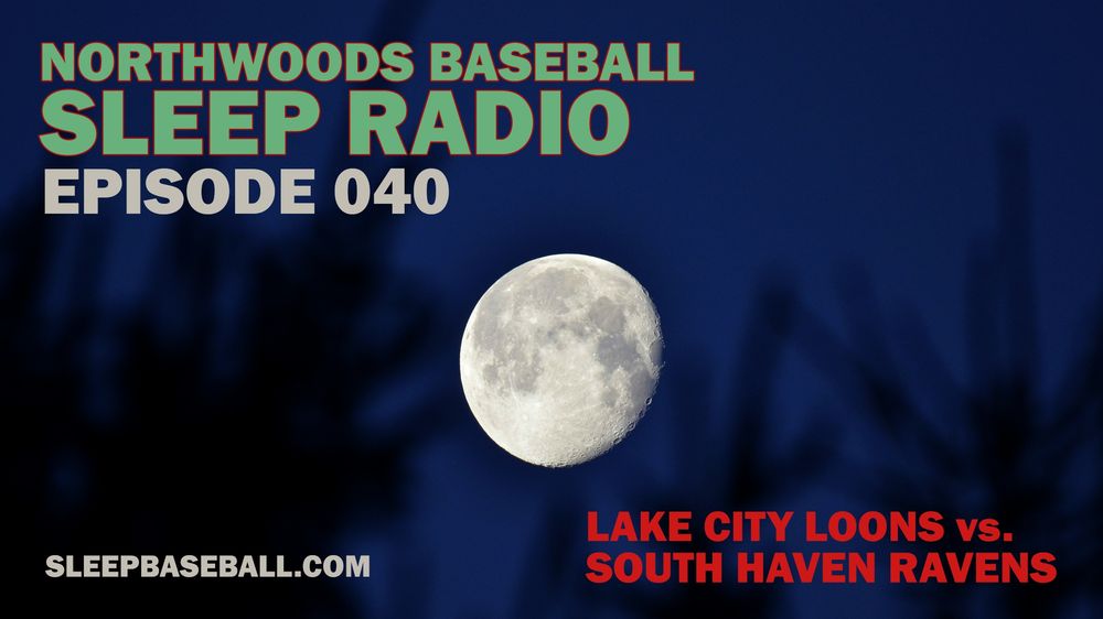 A full moon at dusk, through the trees - a calming photo that announces the release of Episode 40 of Northwoods Baseball Sleep Radio, the World's Best fake baseball broadcast for sleeping.