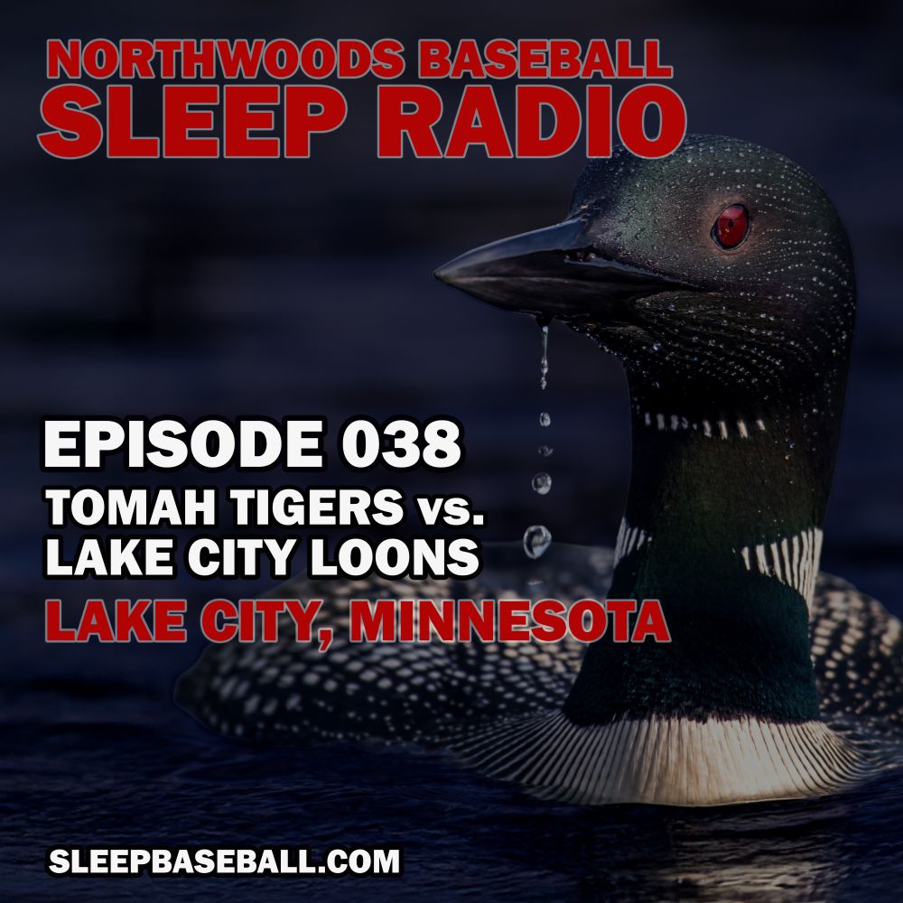A handsome photograph of a Loon in the water (photo by Jeremy Hynes) announcing Episode 38 of the Northwoods Baseball Sleep Radio podcast.
