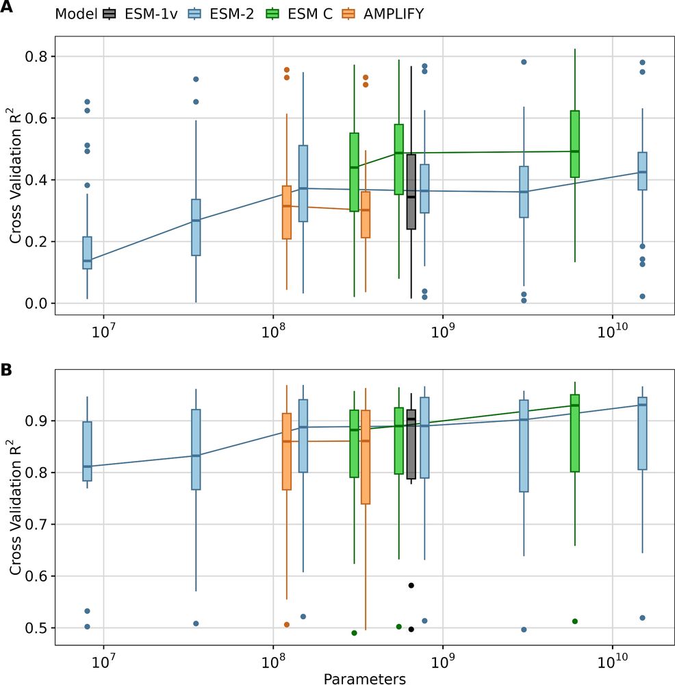 Fig. 3 from the paper, showing that model performance levels off around 300M parameters and ESM C variants tend to outperform the other available protein language models.