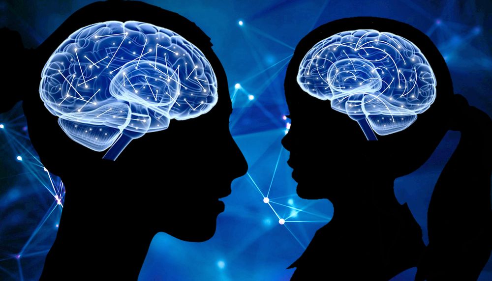 Two silhouettes stare at each other, an adult and a child. The brains of the two show inside as blue/white diagrams. The adult neurons have straight and rigid connections, while the child's brain has arcing and bending connections to illustrate flexibility and adaptability. 