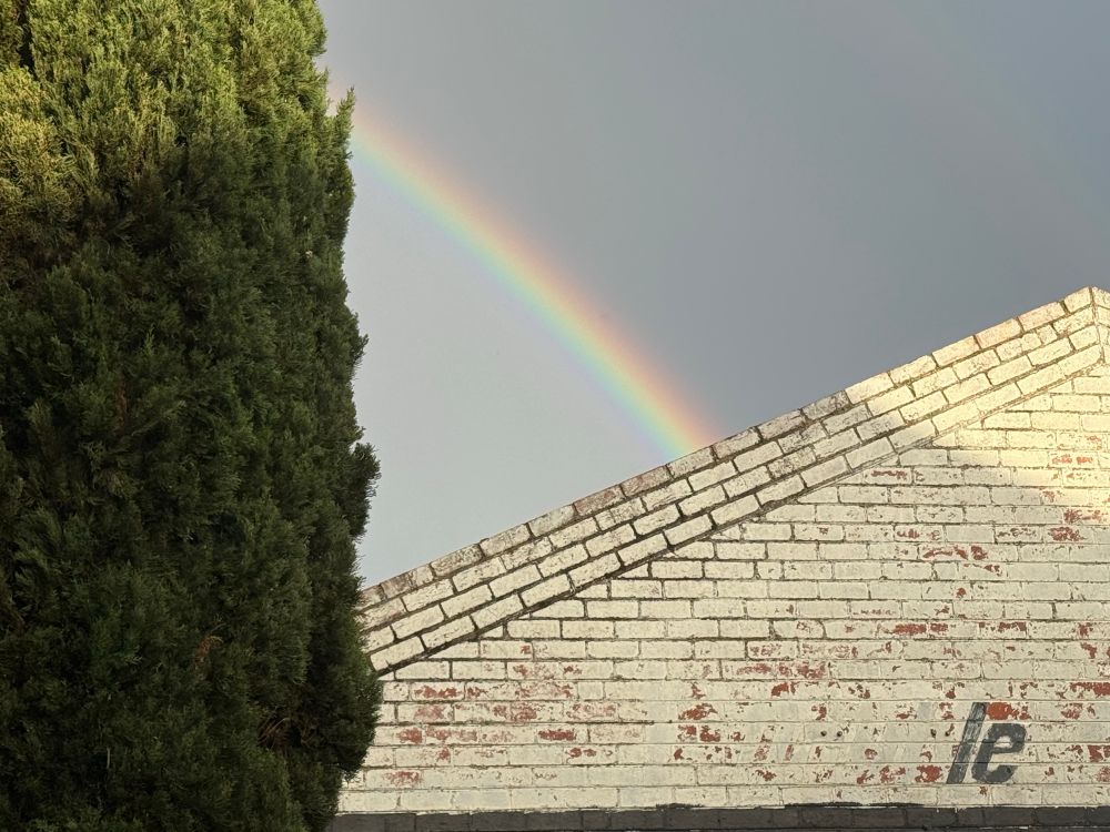 Rainbow behind pencil pine and industrial building with the remnants of a sign that says Le