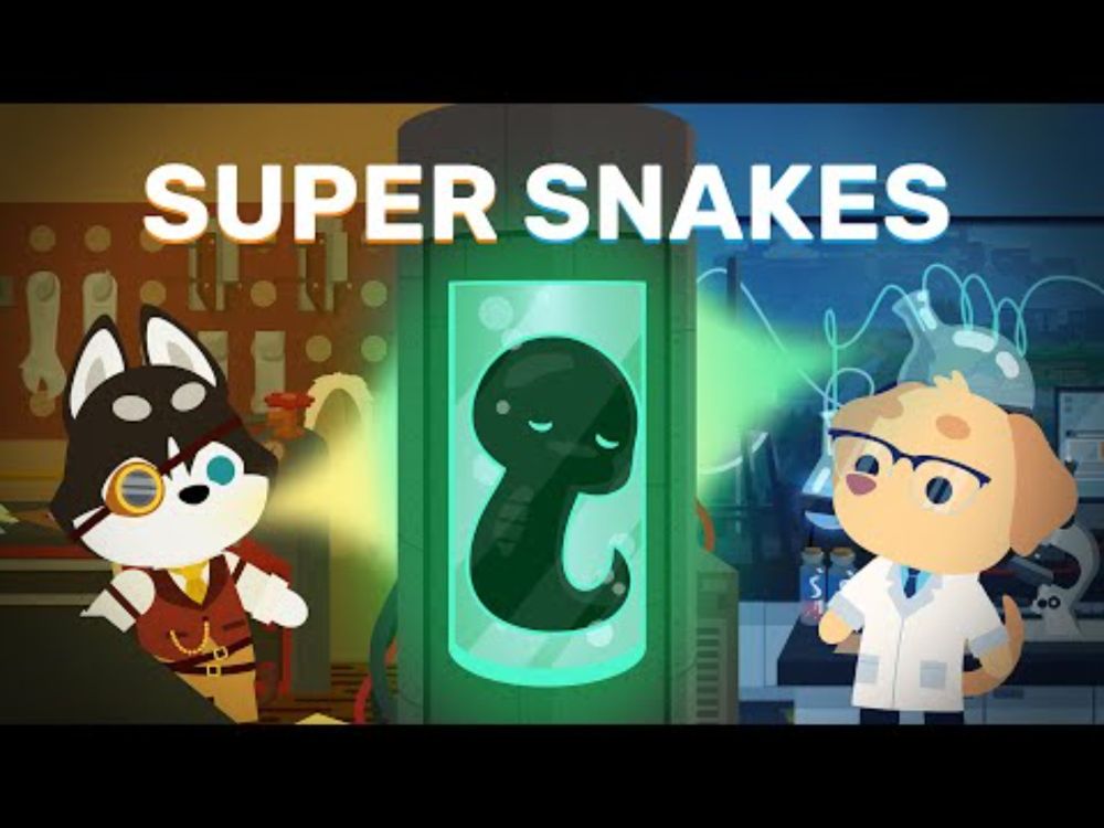 How to Build a Super Snake | SAR Short