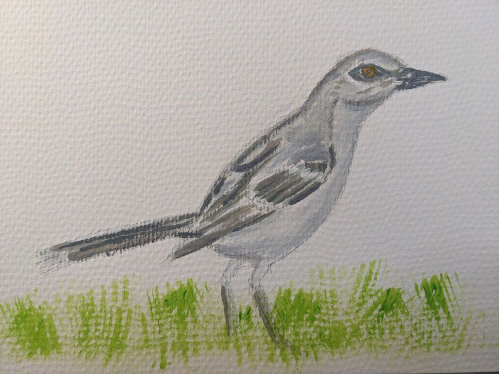 acrylic painting of a bird with a grey back, white stomach and a little dark circle around the eye