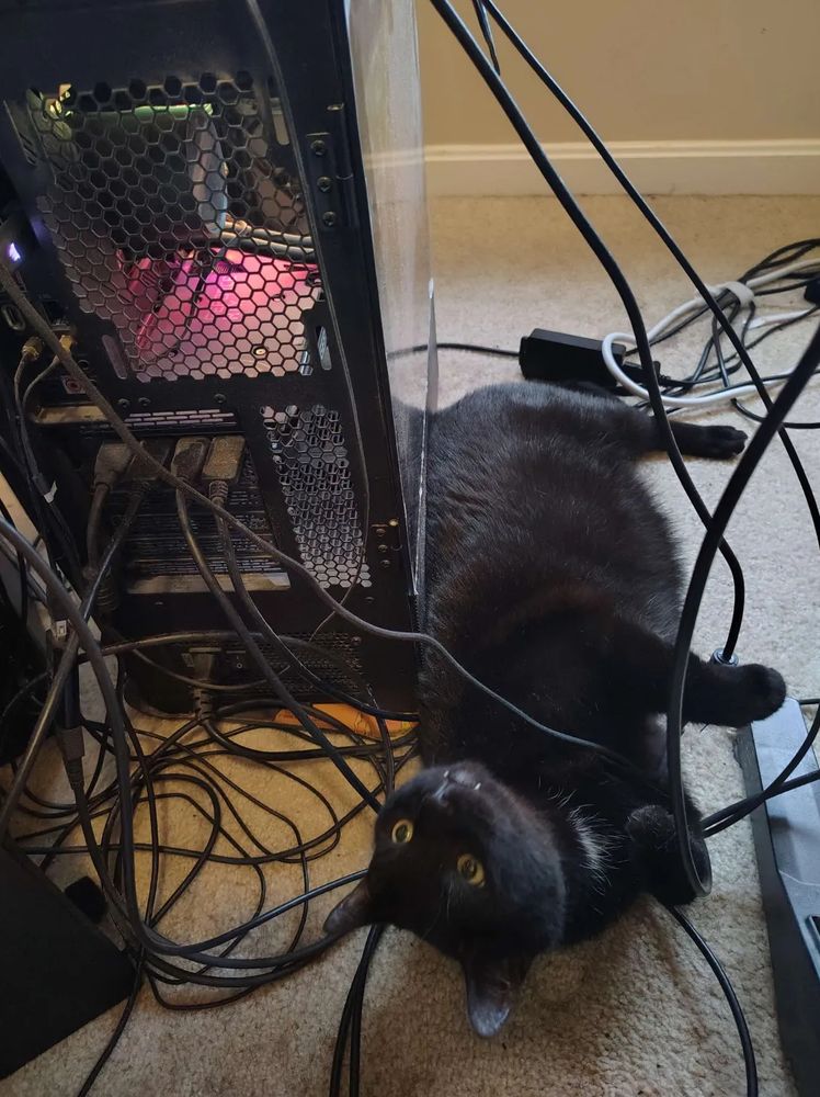 a black cat on his back, pawing at some of the wires coming out of the back of a tower PC