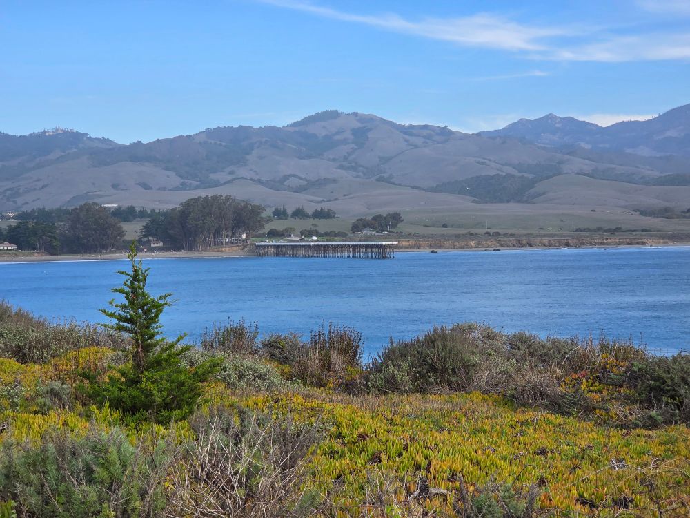 Thanksgiving Week Getaway with my husband and Birthday Boy Hunter, Donnay Point, San Simeon Bay Trail, William Randolph Hearst Memorial Beach, Hearst San Simeon State Park, November 30, 2025.

#DonnayPoint
#SanSimeonBayTrail
#WilliamRandolphHearstMemorialBeach
#HearstSanSimeonStatePark