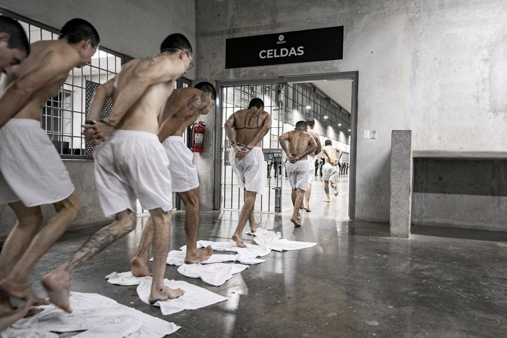 Prisoners are stripped and marched through CECOT, hands behind their backs. A sign says "celdas"