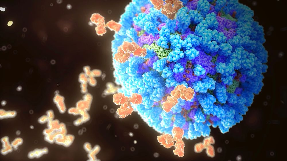 The Trump administration has launched a $500 million project to develop a universal flu vaccine that won't need yearly updates. But vaccine experts are mystified by its focus on a dated technology.