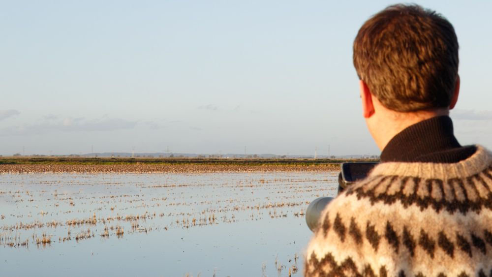 Digiscoping the godwits