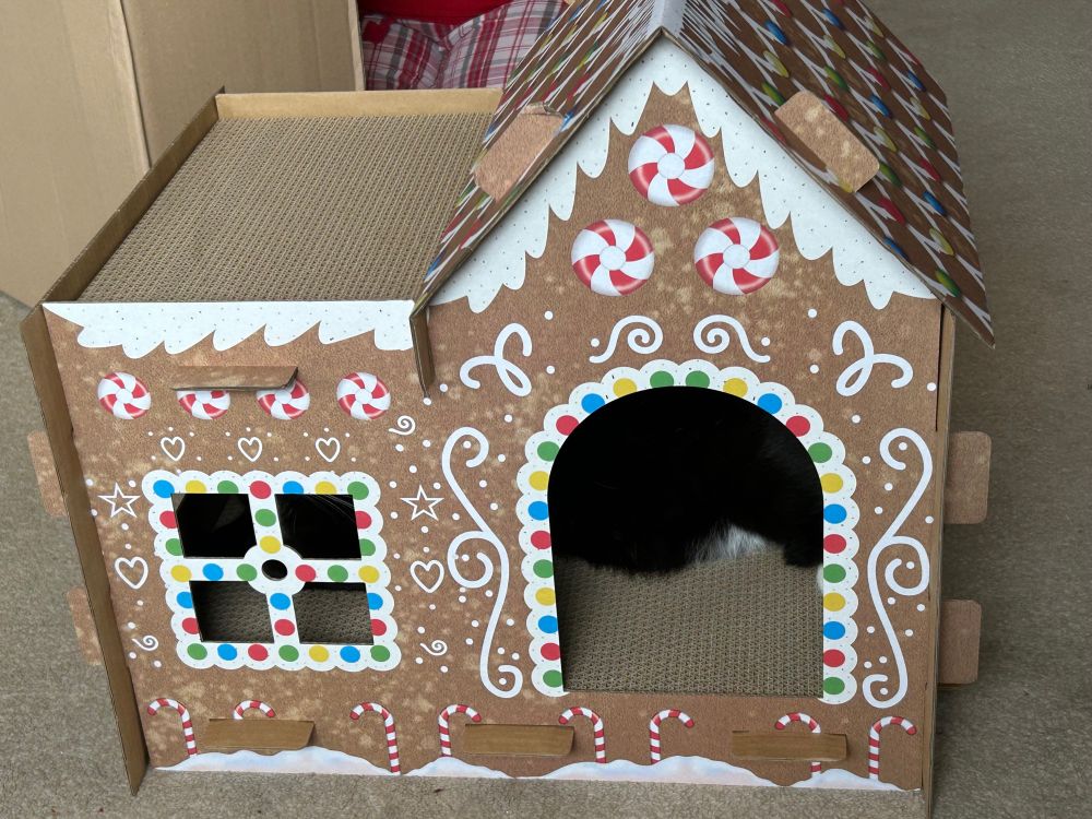 A tuxie idiot that moved into its festive gingerbread scratch cottage before it was even topped out.