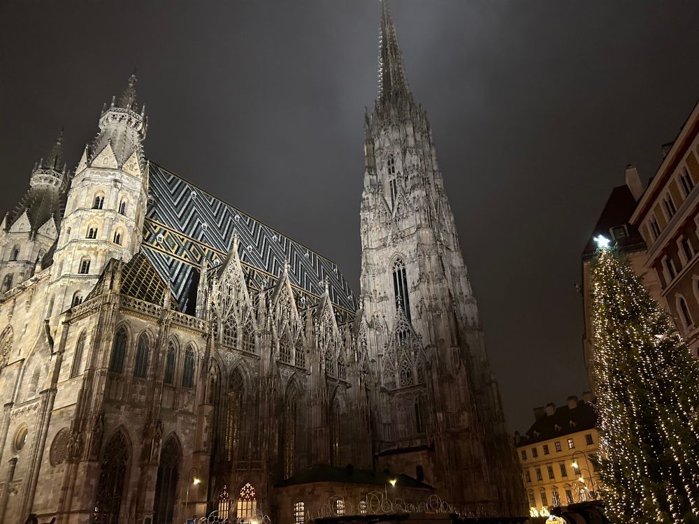 Vienna Cathedral 