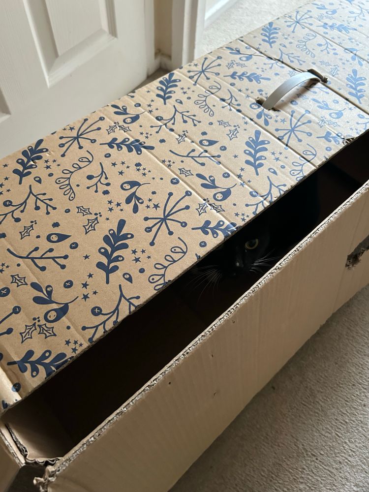 Another tuxie idiot hiding in a tree box