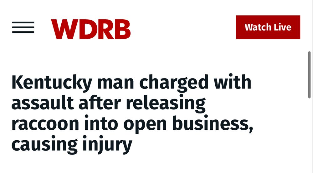 A headline reading 

Kentucky man charged with assault after releasing raccoon into open business,
