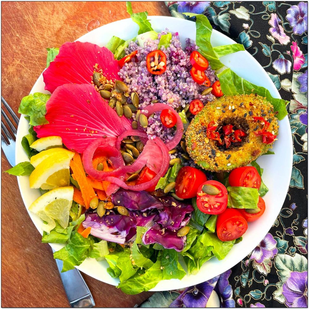 A salad in a white bowl with purple quinoa, avo and pepitas, purple cabbage, carrots, tomatoes, pickled onions, hibiscus, and sliced hot peppers on a bed of greens
