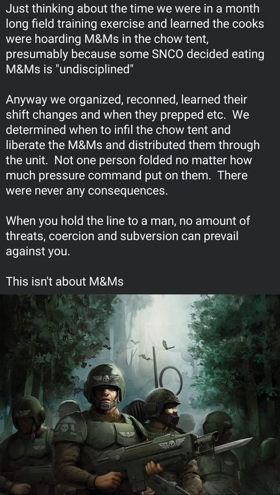 Screen capture of an fb page that starts as a fun story about US army soldiers meticulously planning a Heist of the M&M's the chefs had been hoarding on the orders of a killjoy officer. It ends:

"When you hold the line to a man, no amount of threats, coercion and subversion can prevail against you.

This isn't about M&M's."

Beneath is artwork of a suitably lantern-jawed set of Cadian Imperial Guard.