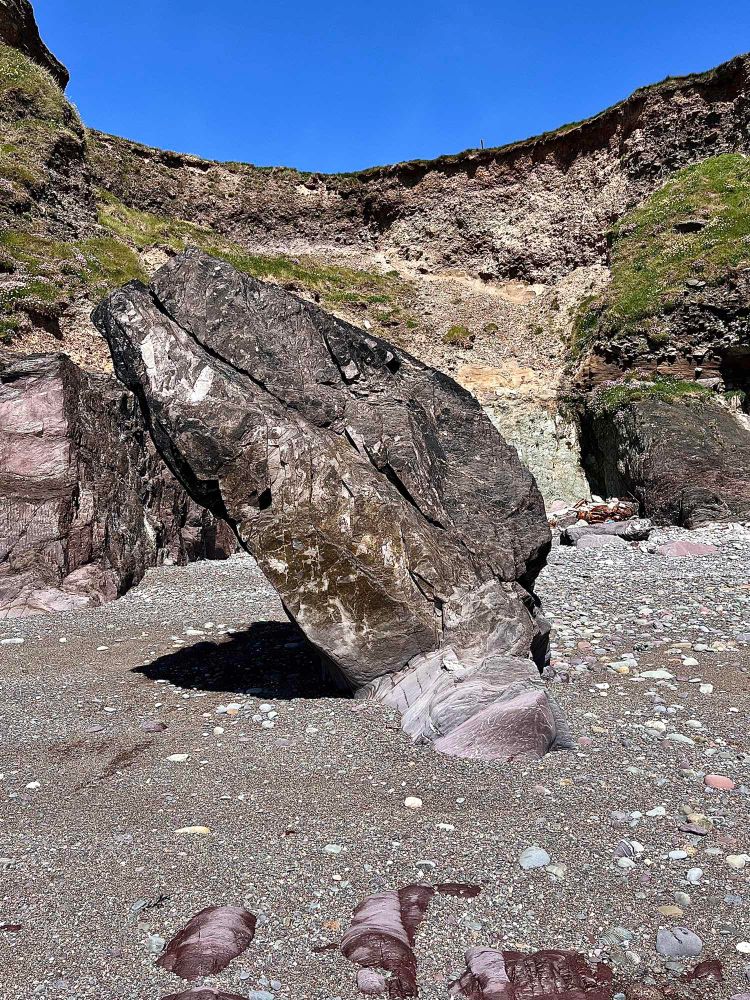 Rock emerging from sand resembling an ancient sea creature