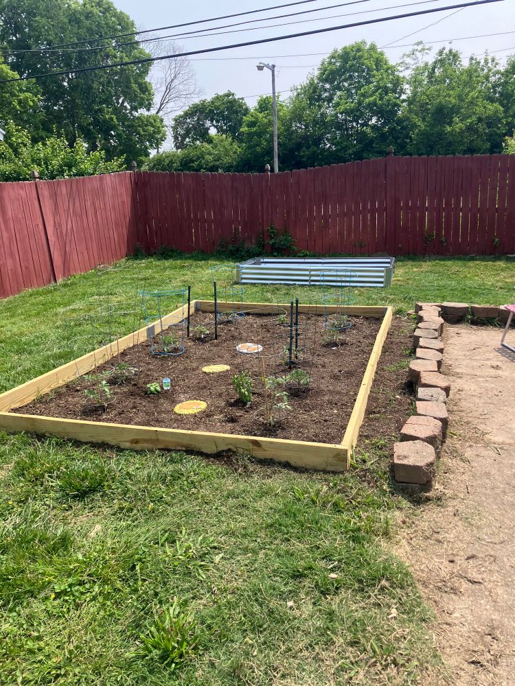 Two garden beds, one wooden one metal. 
