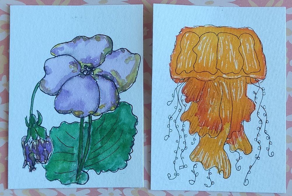 Links ATC mit lila Stiefmütterchen offene Blüte und eine Knospe links. 
Rechts ATC knallorangene große breite Qualle
Beide auf weißem Hintergrund.