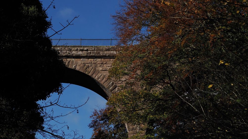 Part of two arches of an old railway viaduct peeking out among autumnal coloured trees with blue sky behind.