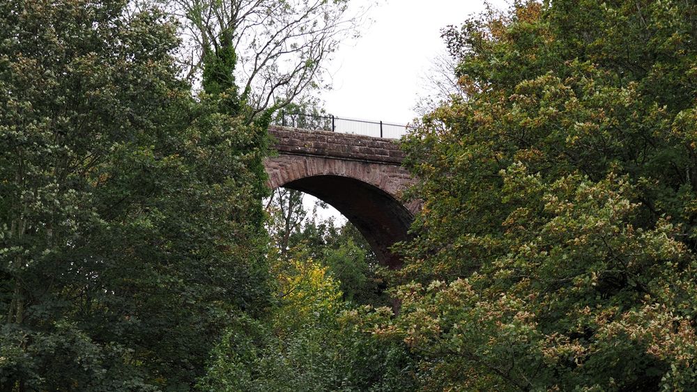 One of the arches of an old railway viaduct peeking out in the middle surrounded by green trees to the left, right and in front.