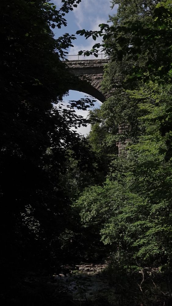 A tall portrait orientation photo of one arch of an old stone built railway viaduct rising high above a rocky river. Tall green trees rise up at the sides of the picture, the left side particularly dark in shade. Through and above the railway viaduct can be glimpsed blue sky and white clouds.