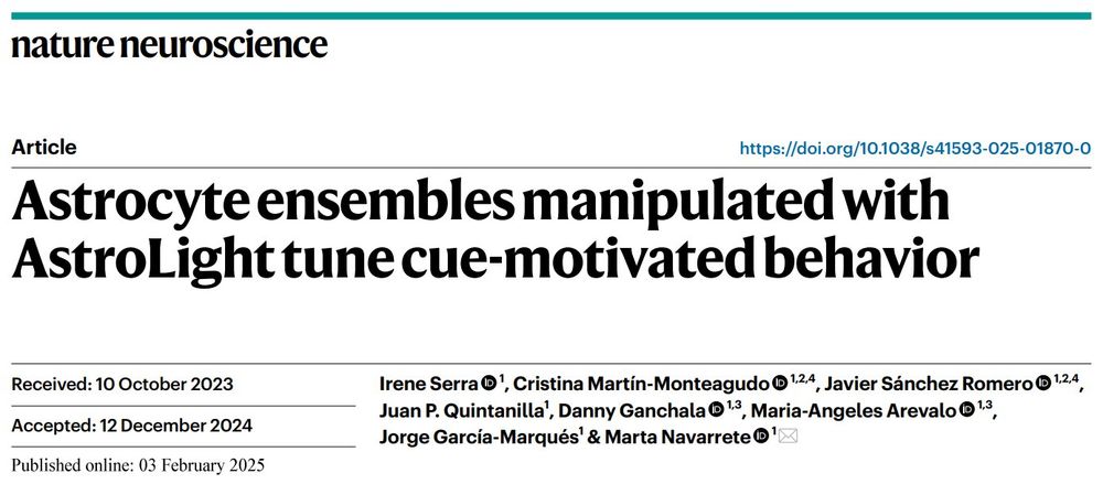 The front page of a Nature Neuroscience article entitled 'Astrocyte ensembles manipulated with AstroLight tune cue-motivated behavior'.