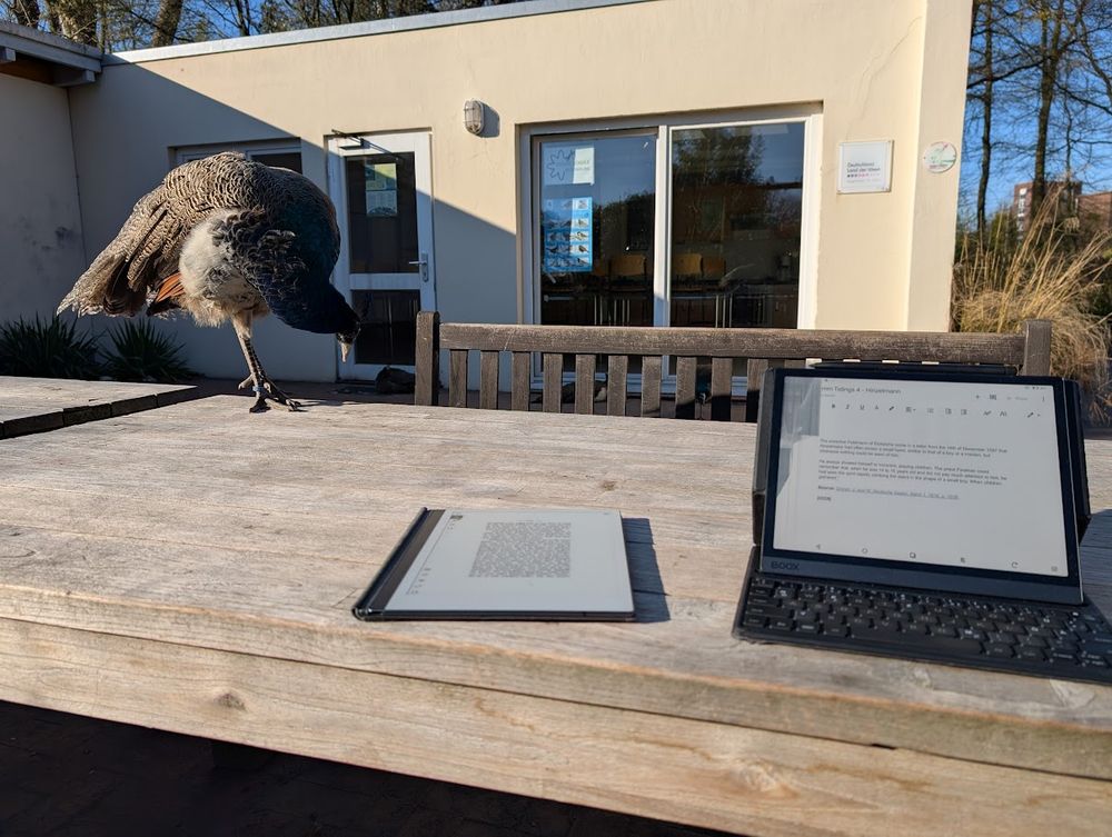 Two e-ink tablets on an outdoor table in front of a building. A young male peacock is on the table as well.