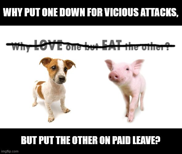 The meme showing a puppy and piglet with its text "Why love one but eat the other?" crossed out, and replaced with "Why put one down for vicious attacks, but put the other on paid leave?"