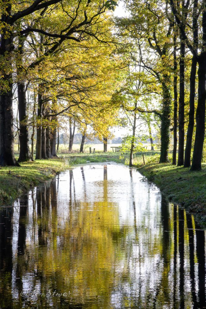 Ein Wassergraben, der mit Bäumen an der Uferkante eingesäumt ist.