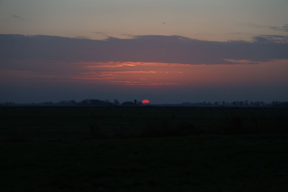 Sonnenaufgang im Rheiderland 